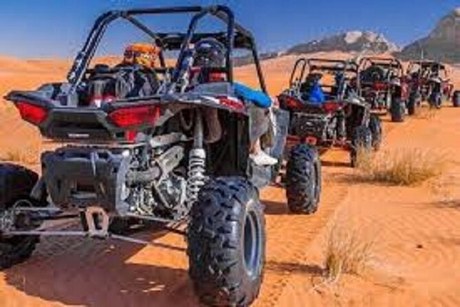 1-Hour Desert Buggy Self-Drive Adventure: Camel Ride & Sandboard - What the praise tells you about service