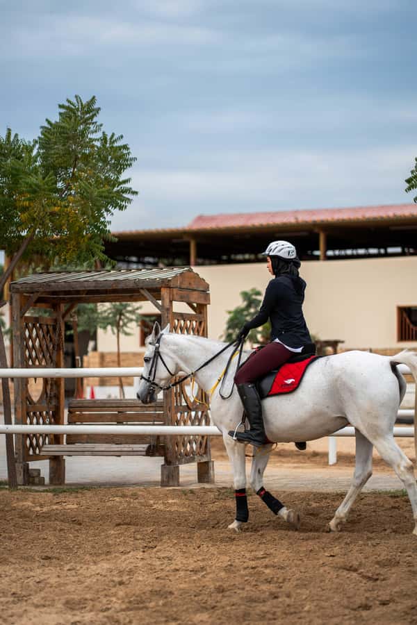 1 Hour Horseback Dubai Desert Park Ride - Key points at a glance