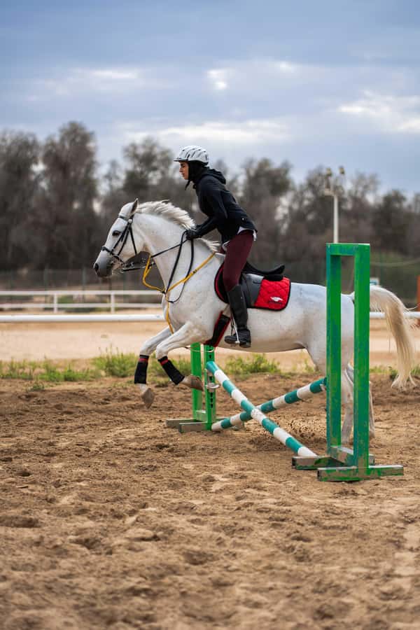 1 Hour Horseback Dubai Desert Park Ride - The horse-care session after the ride