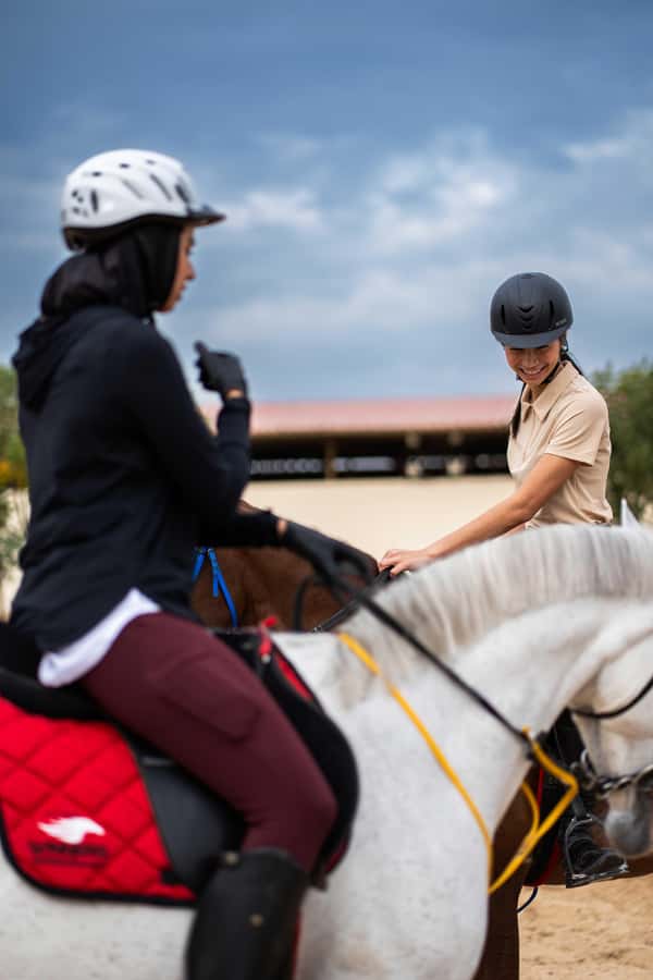 1 Hour Horseback Dubai Desert Park Ride - The horses, escorts, and stable atmosphere