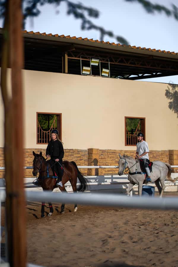 1 Hour Horseback Dubai Desert Park Ride - Practical advice before you go