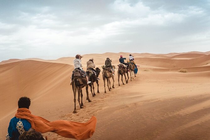 4x4 Desert Safari Abu Dhabi with BBQ Dinner - Leaving Abu Dhabi for the dunes at 4 p.m.