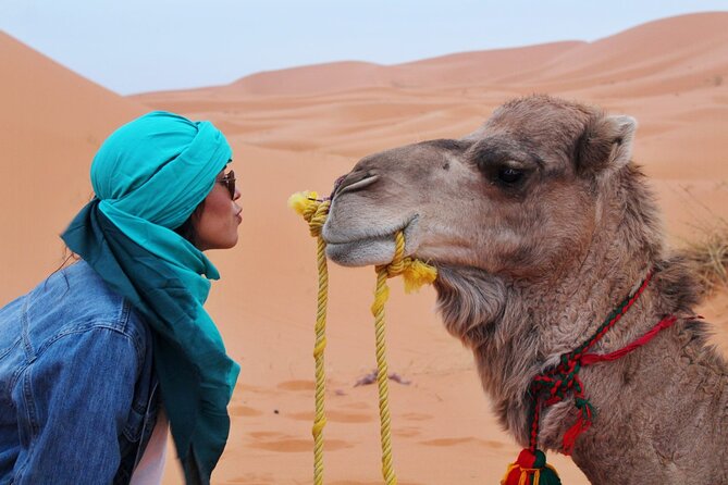 4x4 Desert Safari Abu Dhabi with BBQ Dinner - Camel farm stop and a short ride
