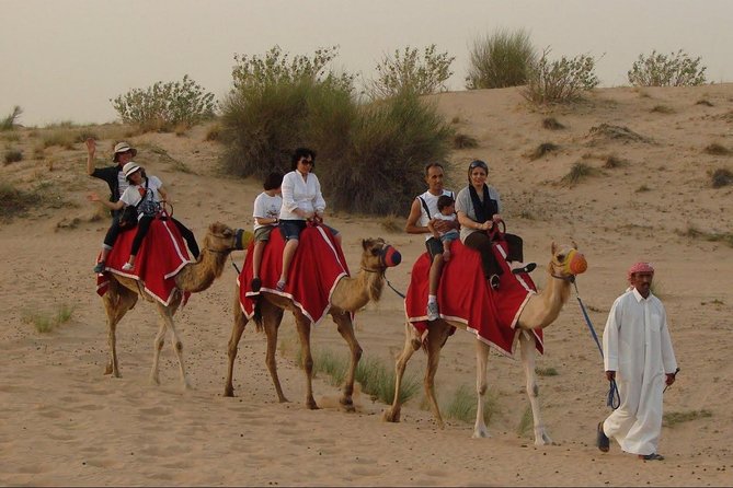 4X4 Dubai Desert Safari with BBQ dinner, Camels & Live Show - Reaching the camp after sunset