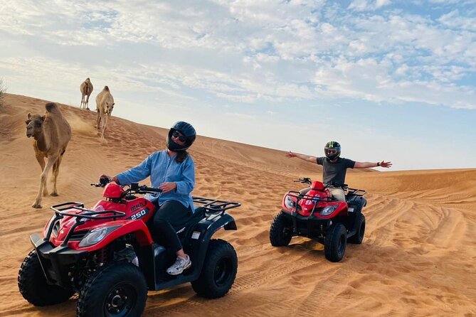 4X4 Dubai Desert Safari with BBQ dinner, Camels & Live Show - Practical tips for a smoother evening