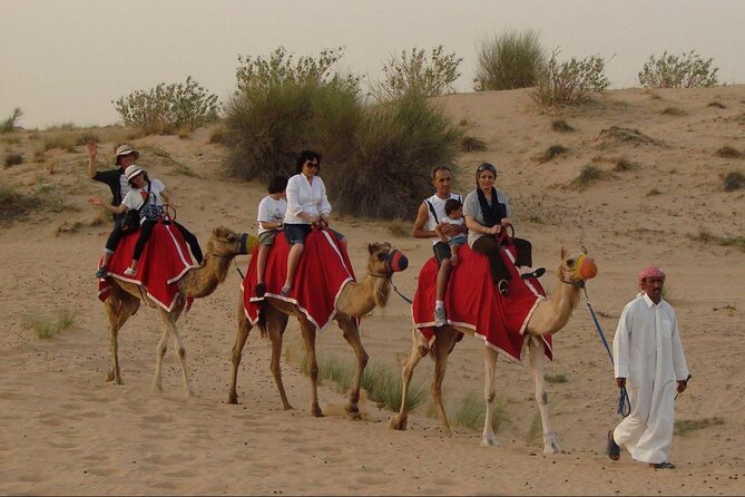 4x4 Self-Drive Quad Bike Safari with Camel Riding - A closer look at the value of $160