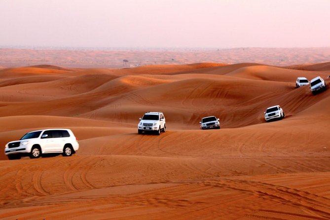 4x4 Self-Drive Quad Bike Safari with Camel Riding - Booking details that can save trouble