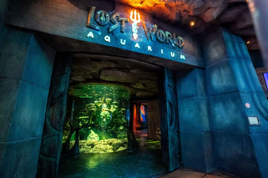 5-Day Pass: Hop-On Hop-Off, Lost World Aquarium, Dubai Frame - Key points to know before booking