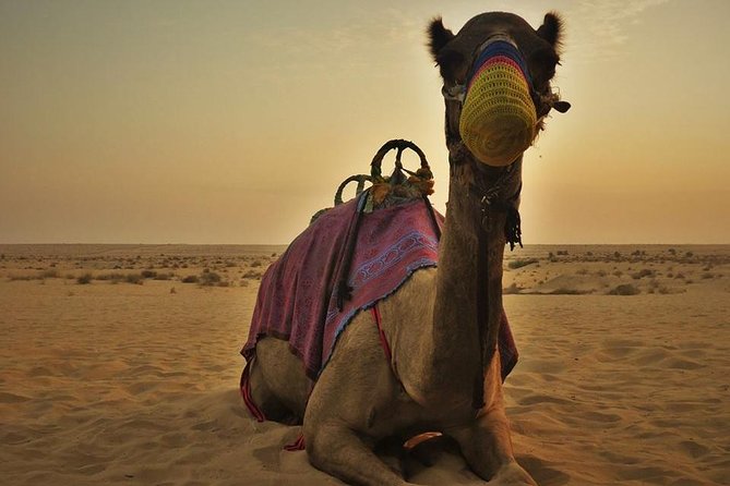 7-hour Small Group 4x4 Desert Safari Tour with Buffet Dinner in Dubai - The camp, buffet dinner, and evening shows