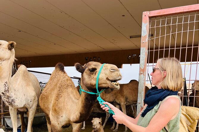 8 Hours Al Ain City Tour without lunch - Jebel Hafeet’s winding road and desert views