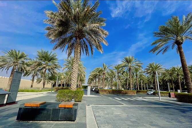 8 Hours Al Ain City Tour without lunch - Camel market and camel race track