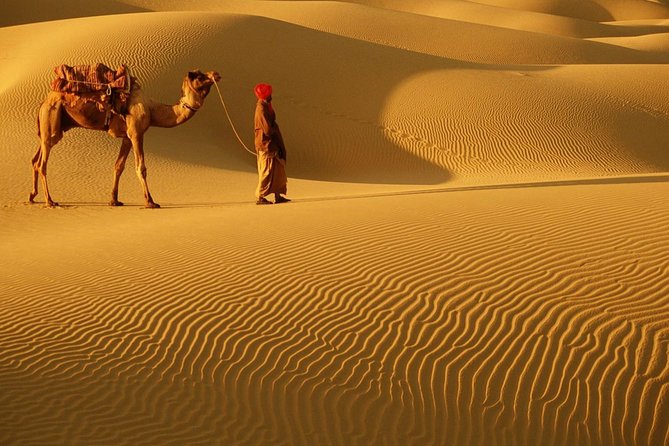 Abu Dhabi 4x4 Desert Safari BBQ Dinner , Camel Ride , Belly Dance - Key points to know before booking