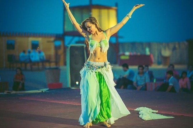 Abu Dhabi 4x4 Desert Safari BBQ Dinner , Camel Ride , Belly Dance - Photo stops, falcons, and the first desert views