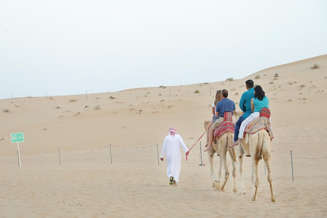 Abu Dhabi City Tour and Desert Safari - The 4x4 ride into the desert