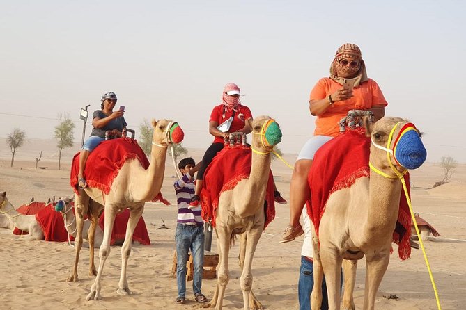Abu Dhabi city tour & desert safari from Dubai - Sunset, camp dinner, and evening shows