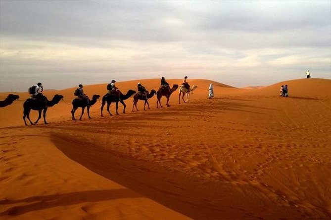 Abu Dhabi City Tour with Desert Safari Adventure - Six hours of desert action