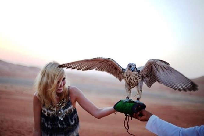Abu Dhabi Desert Safari 4x4, BBQ Dinner, Camel Ride - Dune bashing over the high dunes