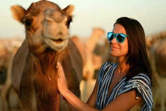 Abu Dhabi Desert Safari 4x4, BBQ Dinner, Camel Ride - BBQ dinner with fruit and dessert