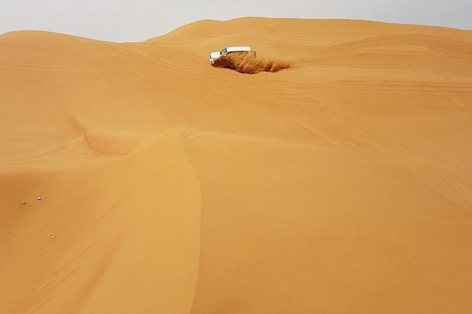 Abu Dhabi Desert Safari 4x4, BBQ Dinner, Camel Ride - Belly dance, Tanura, and fire show