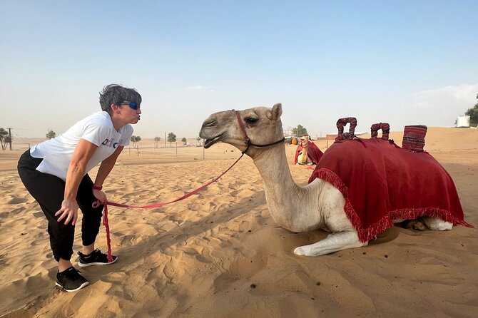 Abu Dhabi Desert Safari Tour with Shows & Buffet Dinner - What this Abu Dhabi desert safari actually offers