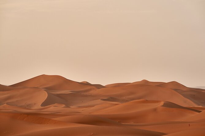 Abu Dhabi Desert Safari Tour with Shows & Buffet Dinner - Sandboarding and the sunset photo stop