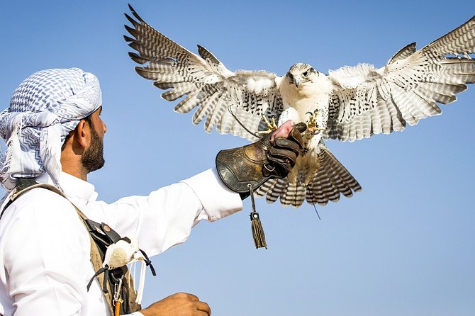 Abu Dhabi: Desert Safari with BBQ, Camel Ride & Sandboarding - BBQ dinner covers a broad range of tastes