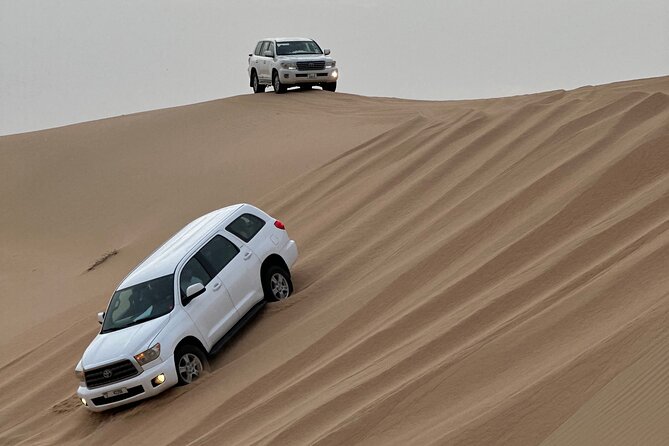 Abu Dhabi Desert Safari With BBQ Dinner & Live Shows - What the $60 Abu Dhabi desert safari includes