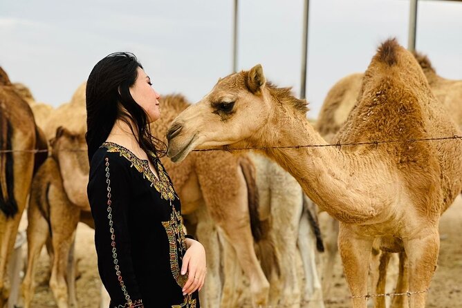 Abu Dhabi Desert Safari With BBQ Dinner & Live Shows - Service quality and the large-group trade-off