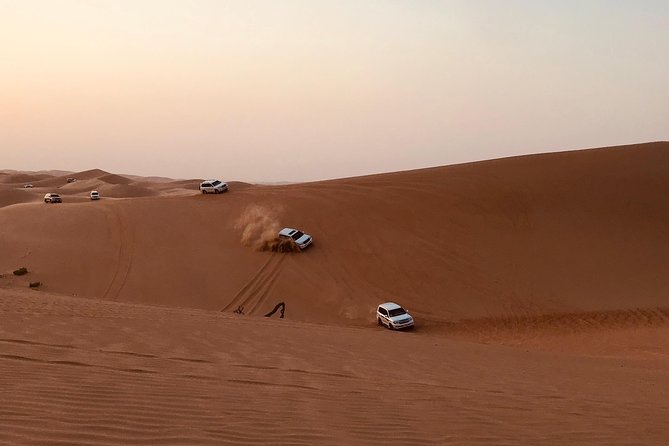 Abu Dhabi Desert safari with BBQ Dinner,Sandboarding & Camel ride - Key points to know before booking