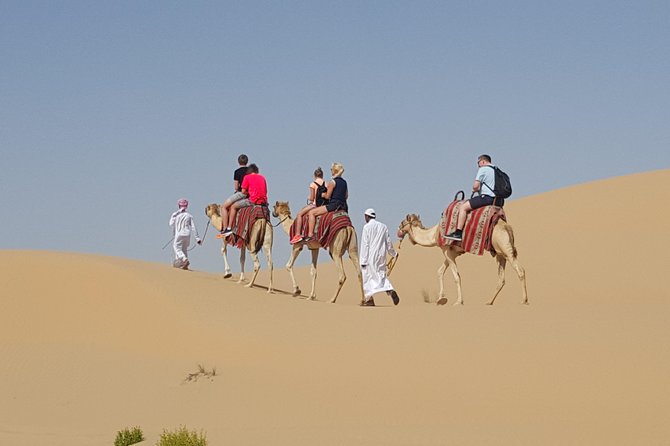 Abu Dhabi Desert safari with BBQ Dinner,Sandboarding & Camel ride - A short stop at the camel farm