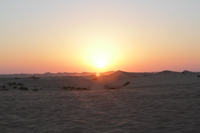 Abu Dhabi Desert Safari with BBQ Dinner & Shows - Leaving Abu Dhabi around 3:00 pm
