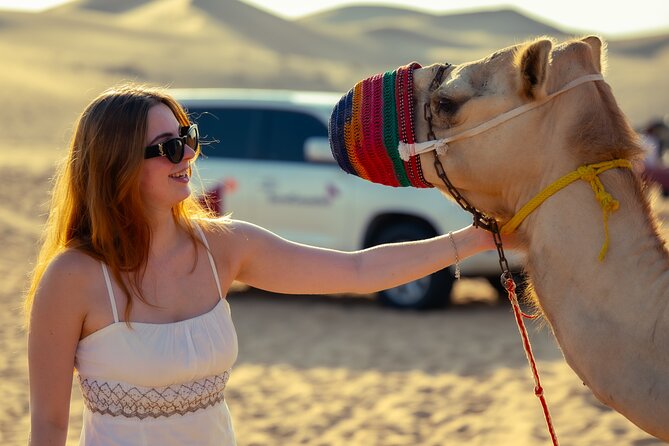 Abu Dhabi Evening Desert Safari - Private car Dune bashing & BBQ - Sunset in the open desert