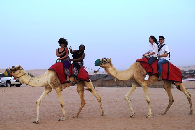 Abu Dhabi Evening Desert Safari with BBQ Dinner and all Camp Activities - Leaving Abu Dhabi at 2:30 pm
