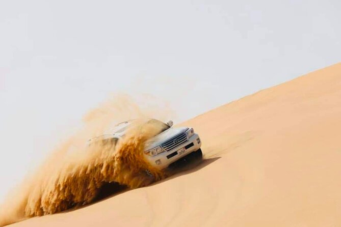 Abu Dhabi: Evening Desert Safari with Camel Ride, BBQ & Live Show - Stargazing after the lights go out