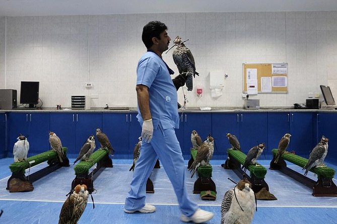 Abu Dhabi Falcon Hospital Tour - Transport, timing, and planning advice
