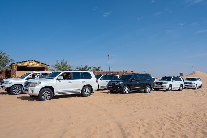Abu Dhabi Full-Day Desert Safari - Group size, pace, and comfort
