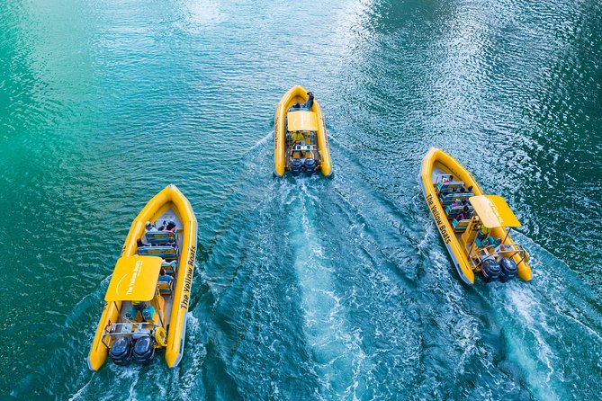Abu Dhabi Guided Sightseeing Boat Tours - Lulu Island and the search for dolphins