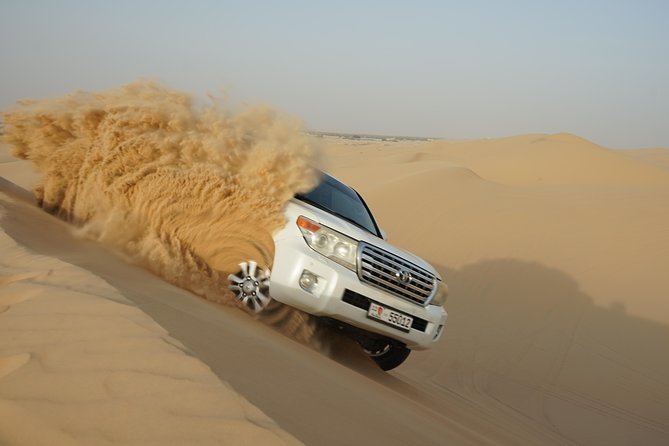 Abu Dhabi Half Day Desert Safari - Falcon Photos and Questions of Animal Welfare