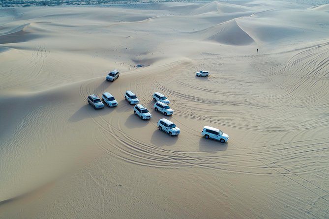 Abu Dhabi Half Day Desert Safari - Sandboarding and the Desert Photo Stop