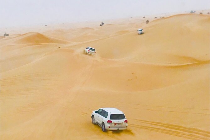 Abu Dhabi Morning Desert Safari - Key points to know before you book