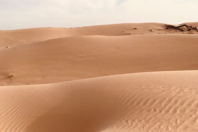 Abu Dhabi Morning Desert Safari,Dune Bashing,Sandboarding,Camel Riding&Quad Bike - Camel riding and the campsite stop