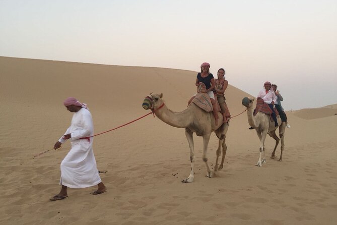 Abu Dhabi Morning Desert Safari - The camel farm visit and camel ride