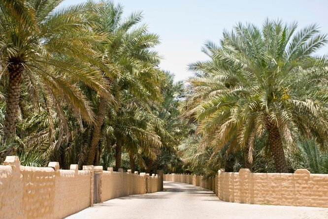 Al Ain City Sightseeing tour with Lunch from Dubai - The Camel Market Brings You Close to Daily Life