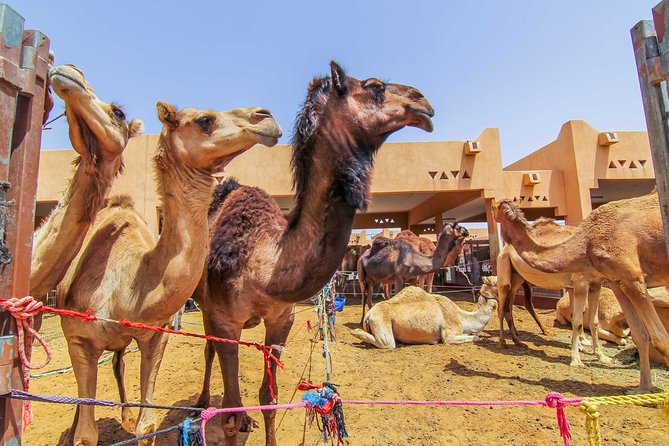 Al Ain City Sightseeing tour with Lunch from Dubai - Guides Can Shape the Whole Day