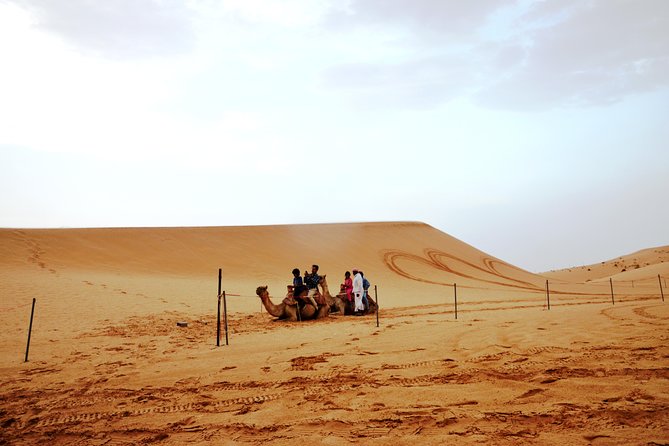 Al Ain Desert Safari with Buffet Dinner - Who will enjoy this Al Ain safari most?