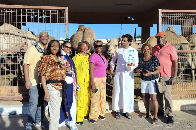 Al Ain Full Day City Tour From Dubai, the Birthplace of Country - Al Ain Oasis: Shade, Palms, and Ancient Irrigation