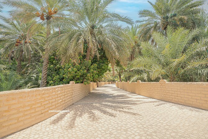 Al Ain Full Day Trip from Abu Dhabi with Lunch - The Jebel Hafeet Drive and the Best View of the Day