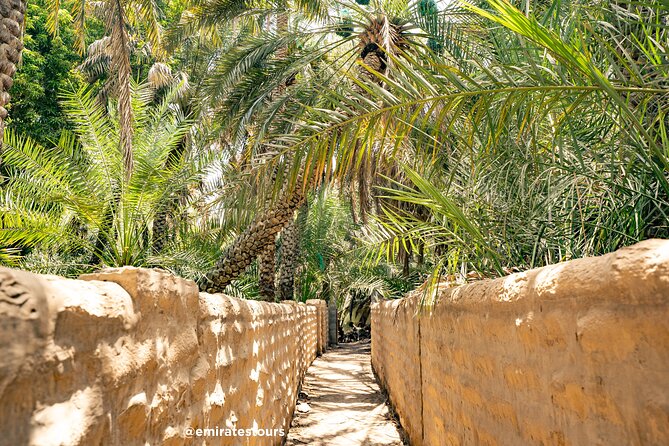 Al Ain Full Day Trip from Abu Dhabi with Lunch - The Springs and the Limits of the Schedule