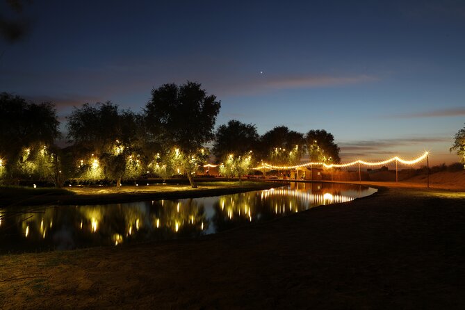 Al Marmoom Oasis Experience with Bedouin Dinner - Key things to know before booking