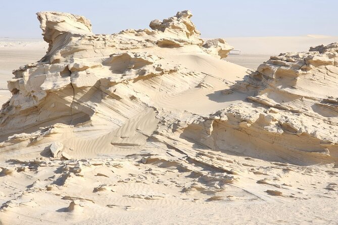 Al Wathba Fossil Dunes and Salt Lake Trip from Abu Dhabi - The camel track: a glimpse of a living tradition